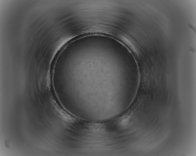 X0000092051076200709121208