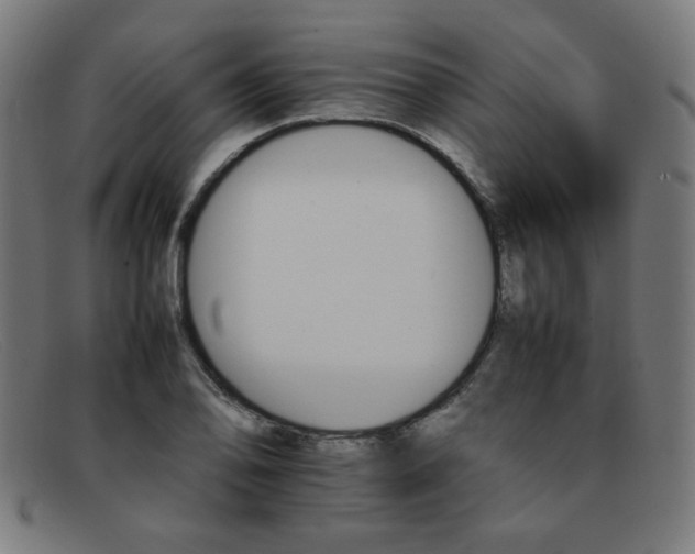 X0000092051078200709121208