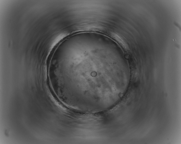 X0000092051079200709121208