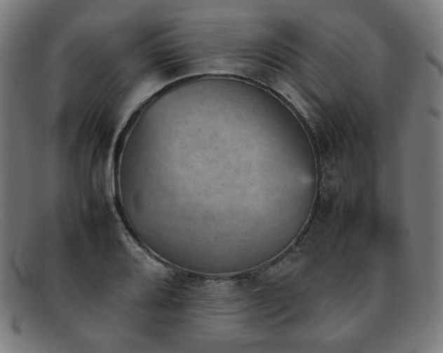 X0000092051080200709121208