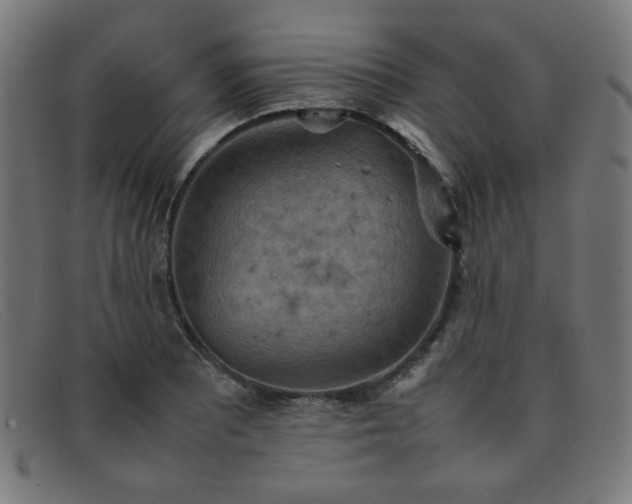 X0000092051081200709121208