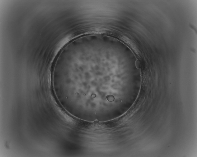 X0000092051083200709121208