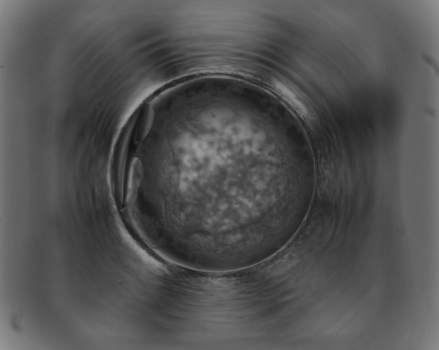 X0000092051084200709121208