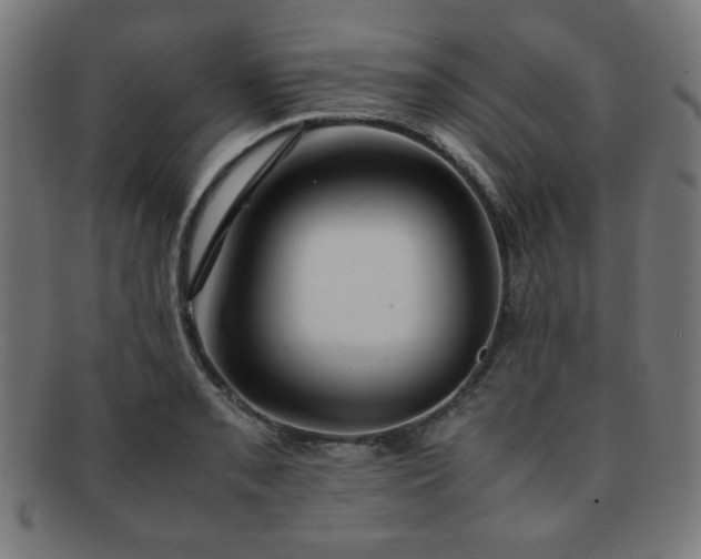 X0000092051085200709121208