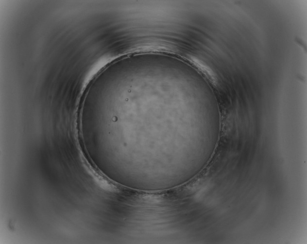 X0000092051086200709121208