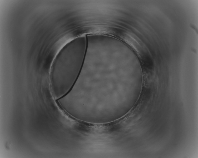 X0000092051087200709121208