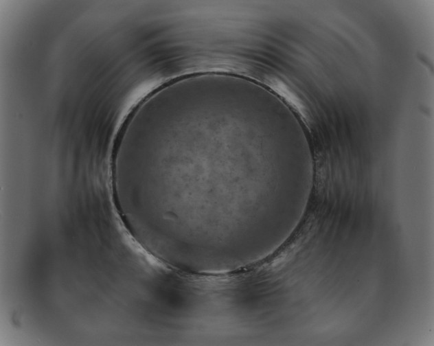 X0000092051088200709121208