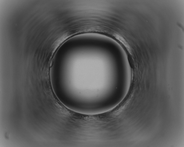 X0000092051089200709121208