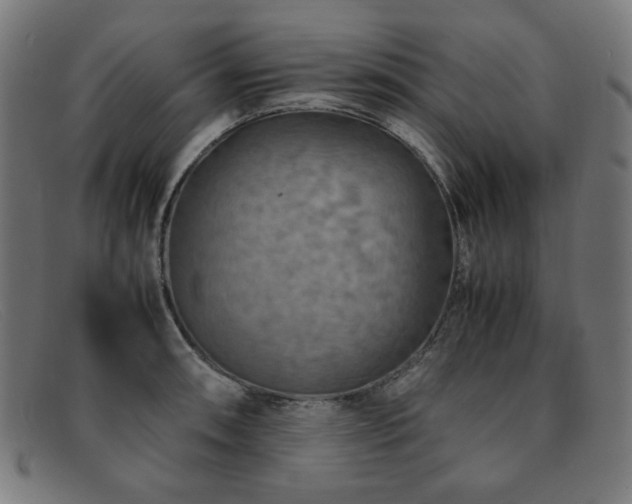 X0000092051090200709121208