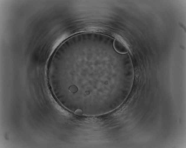 X0000092051091200709121208