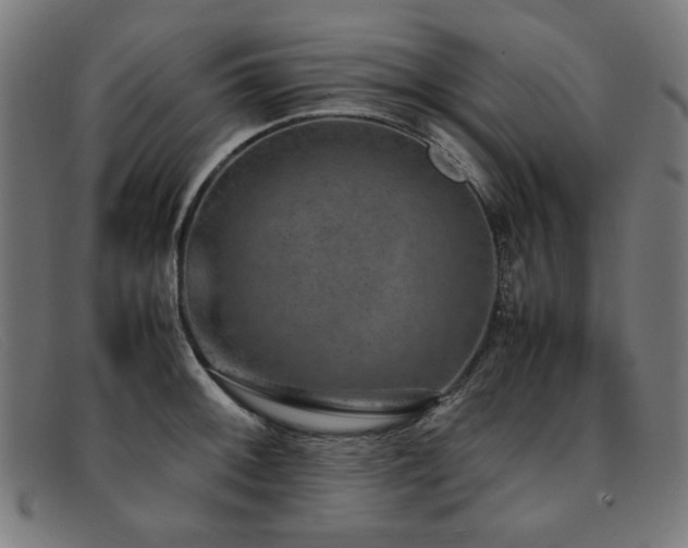 X0000092051092200709121208