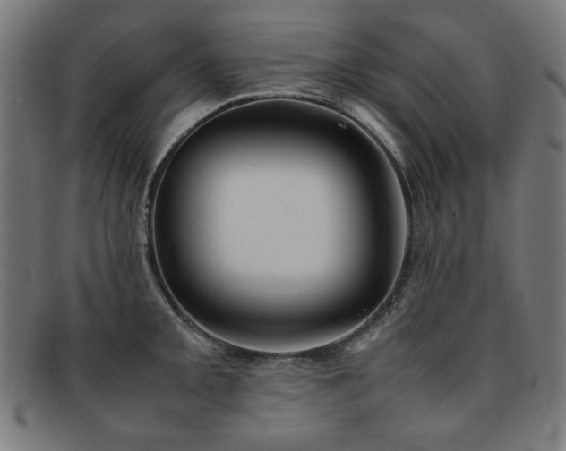 X0000092051093200709121208