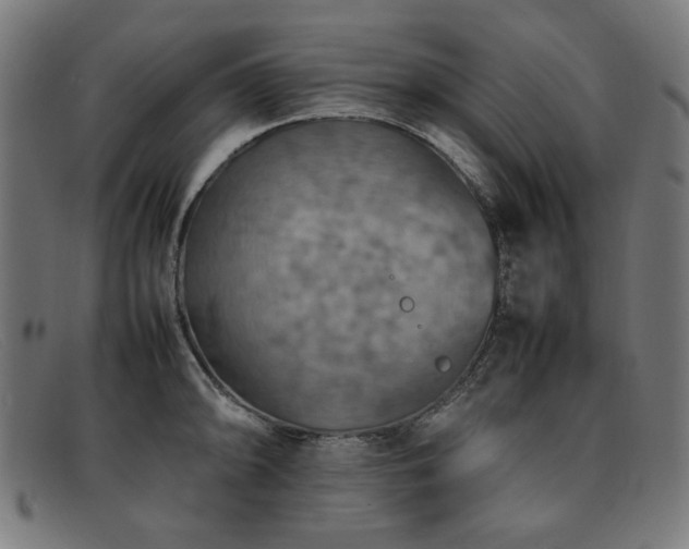 X0000092051094200709121208