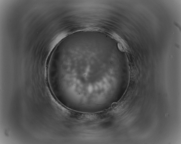 X0000092051095200709121208