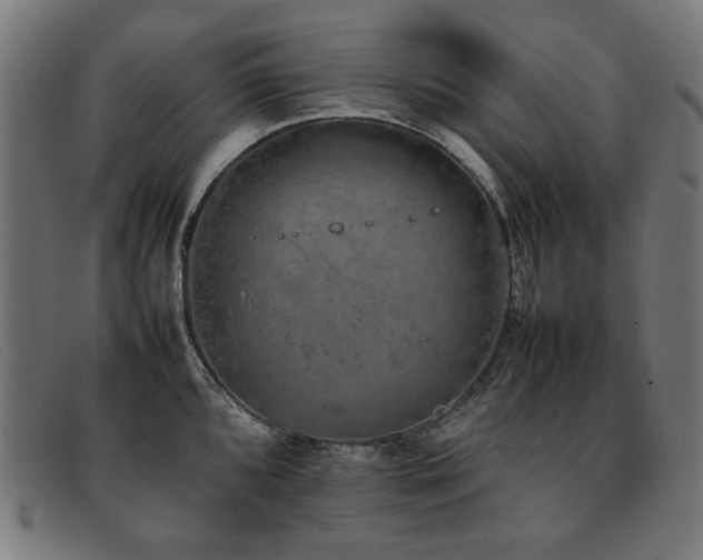 X0000092051096200709121208