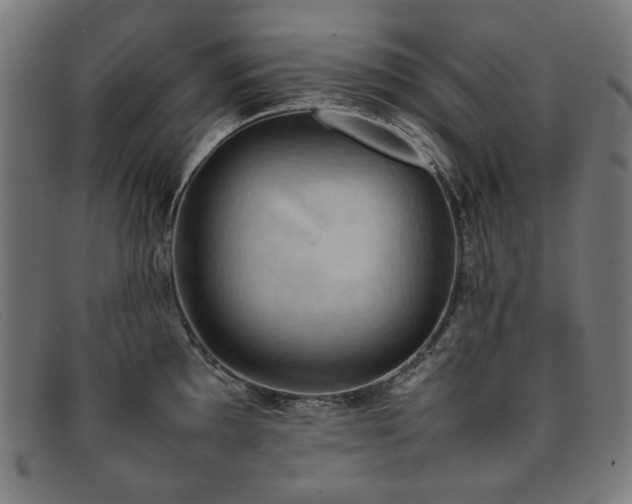 X0000092051097200709121208