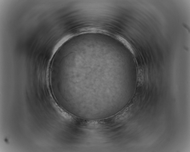 X0000092051098200709121208