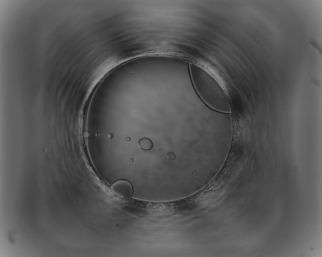 X0000092051099200709121208