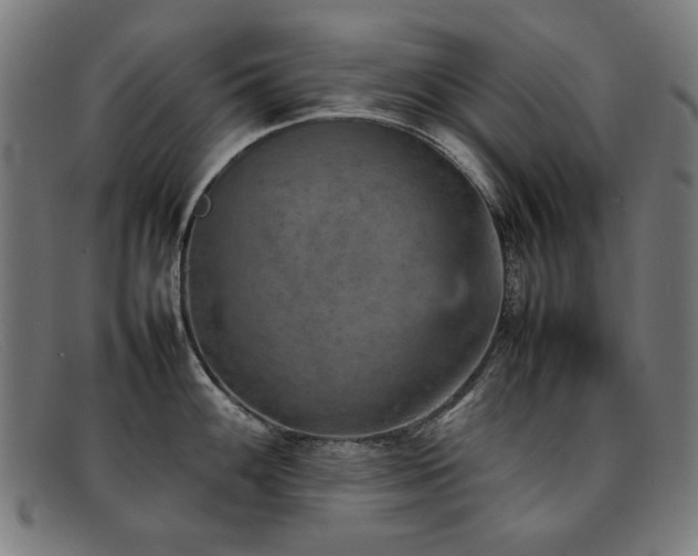 X0000092051100200709121208