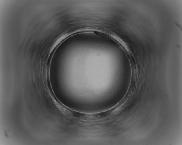 X0000092051101200709121208