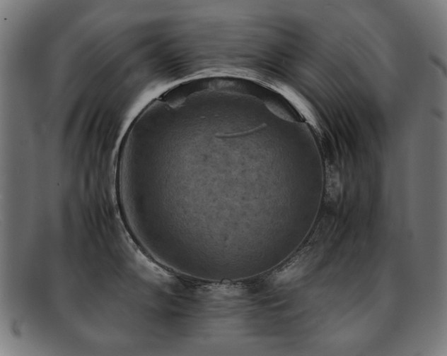 X0000092051102200709121208