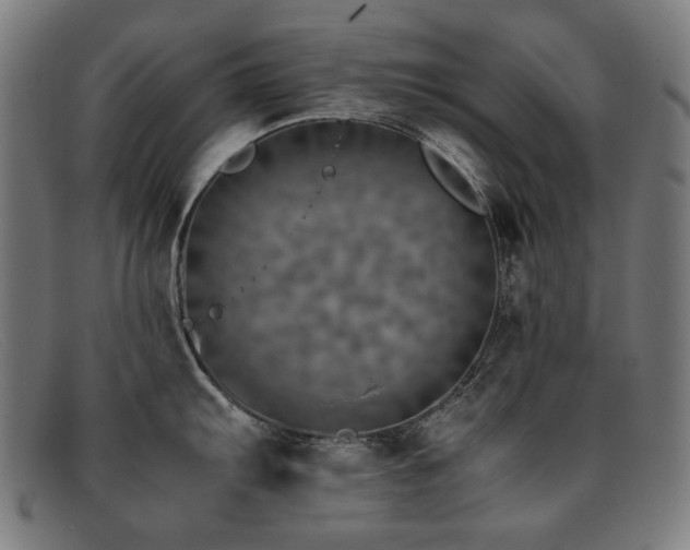 X0000092051103200709121208