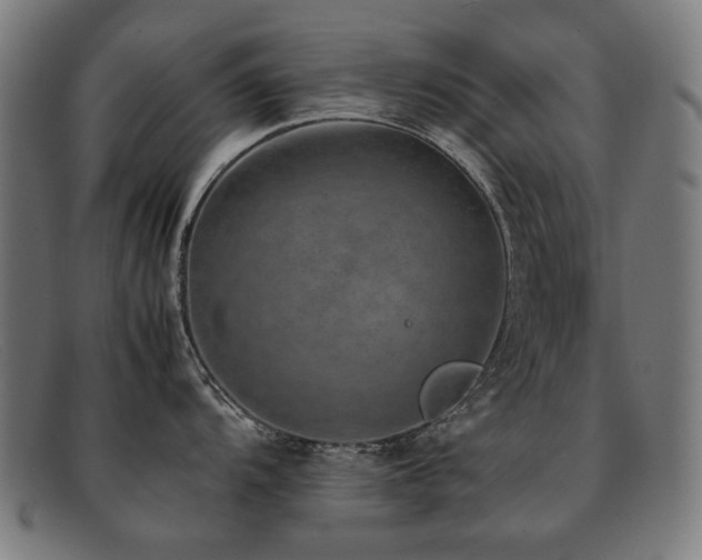 X0000092051104200709121208