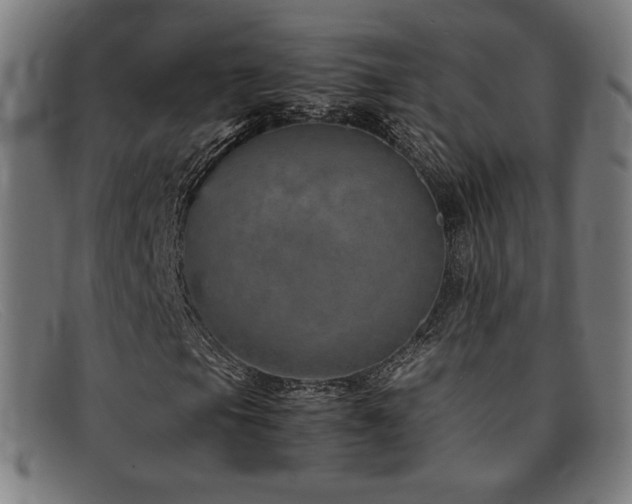 X0000092051105200709121207