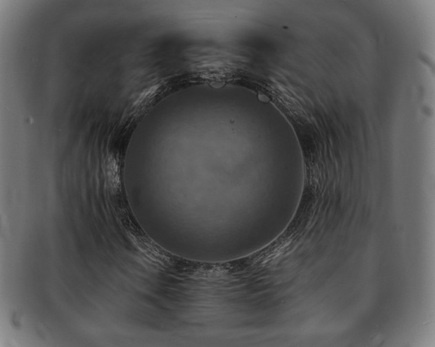 X0000092051106200709121207