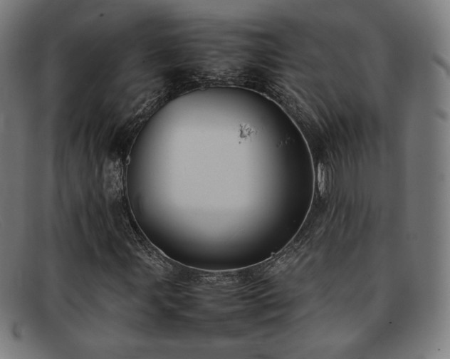 X0000092051107200709121207