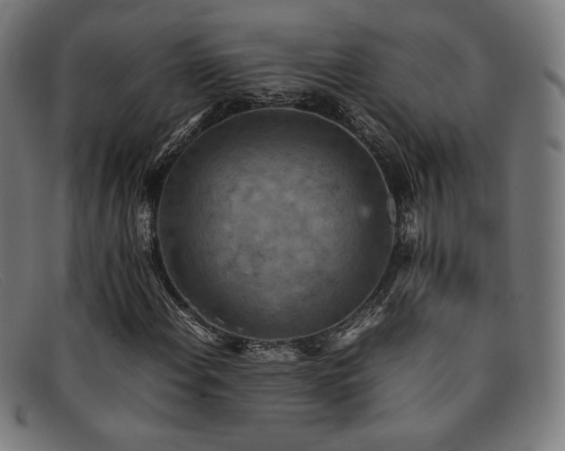 X0000092051108200709121207