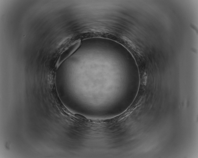 X0000092051110200709121207