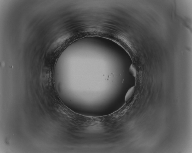 X0000092051111200709121207