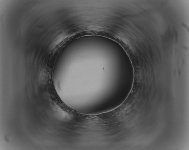 X0000092051112200709121207