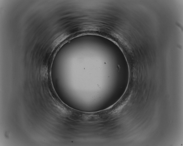 X0000092051113200709121207