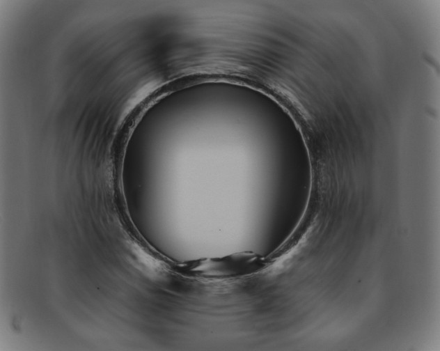 X0000092051114200709121207