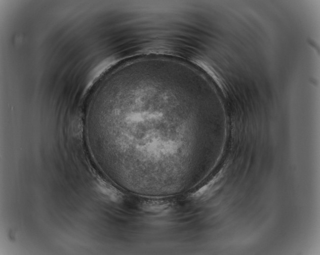 X0000092051115200709121207