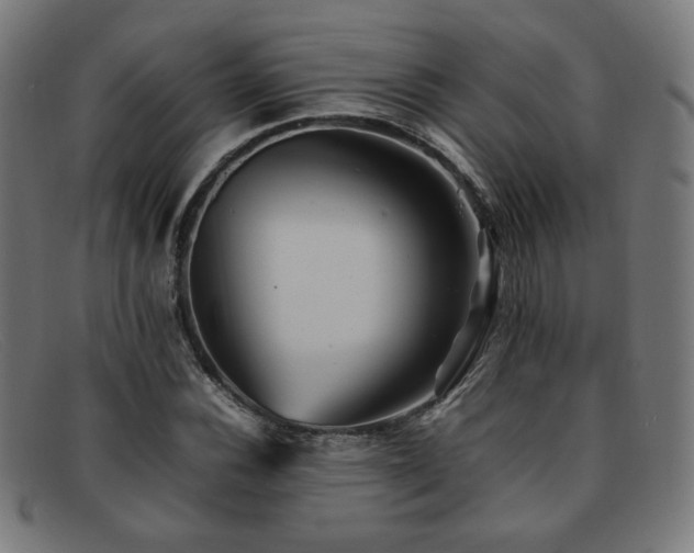 X0000092051116200709121207