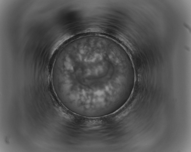 X0000092051117200709121207