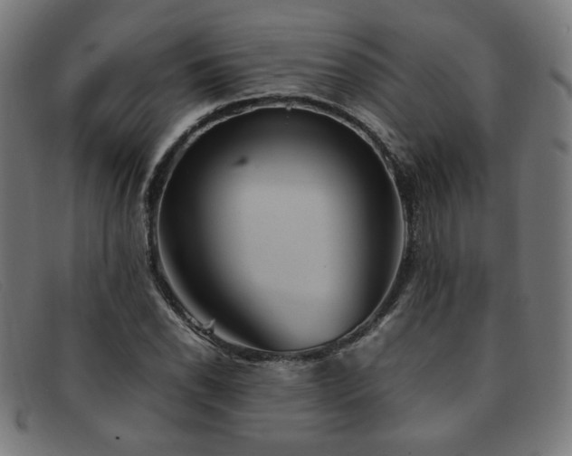 X0000092051118200709121207