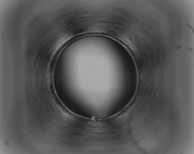 X0000092051119200709121207