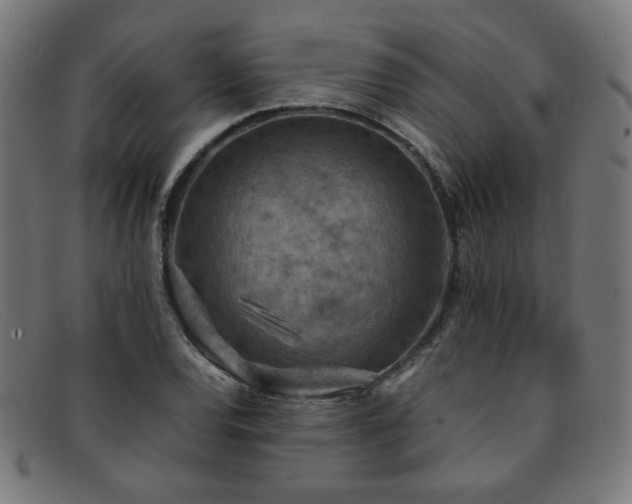 X0000092051120200709121207