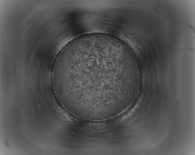 X0000092051121200709121207