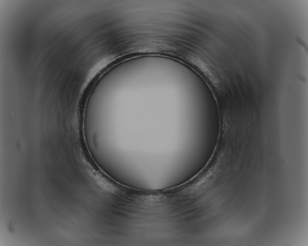 X0000092051122200709121207