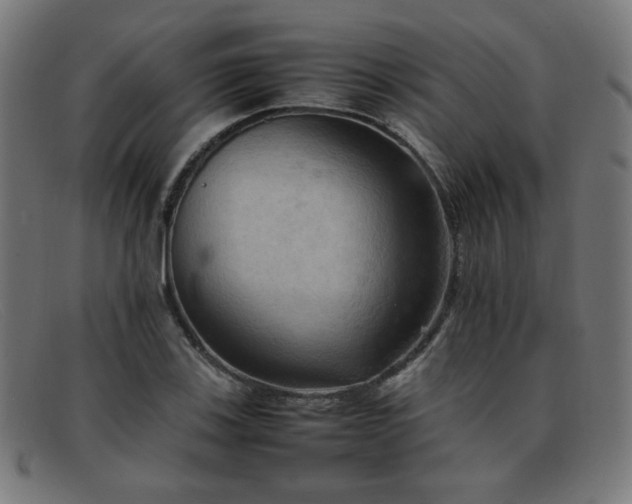 X0000092051123200709121207