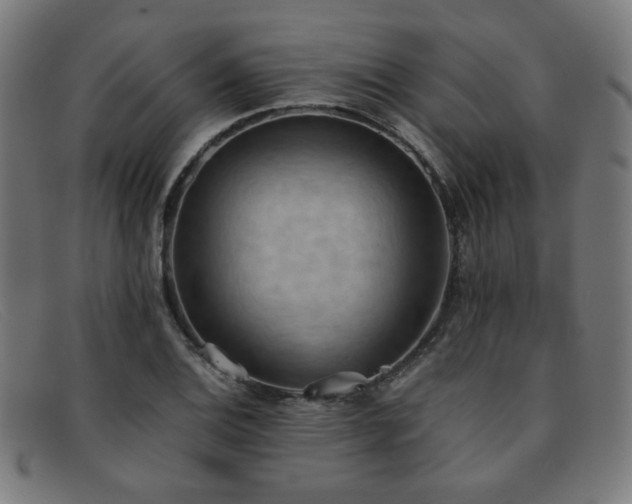 X0000092051124200709121207