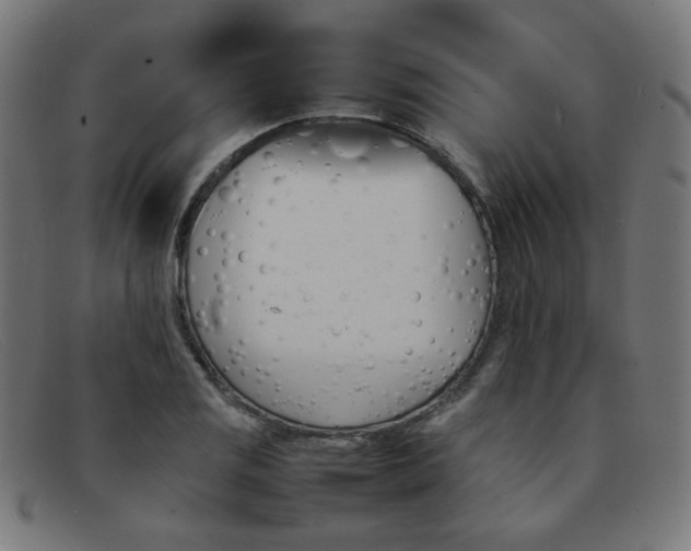 X0000092051125200709121207