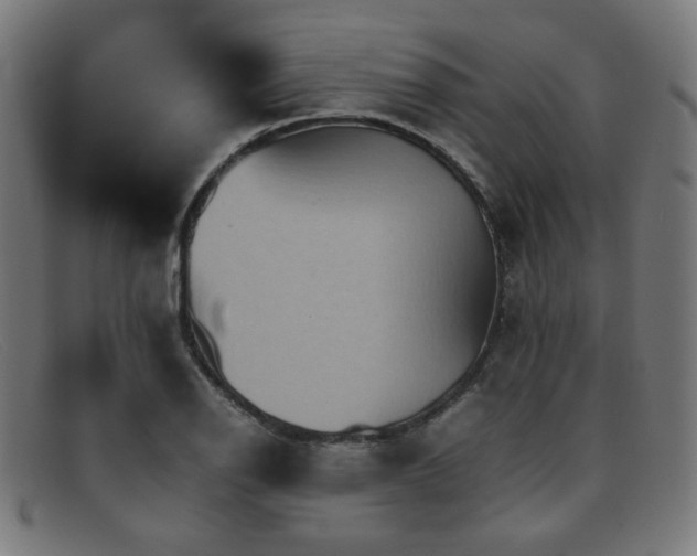 X0000092051126200709121207