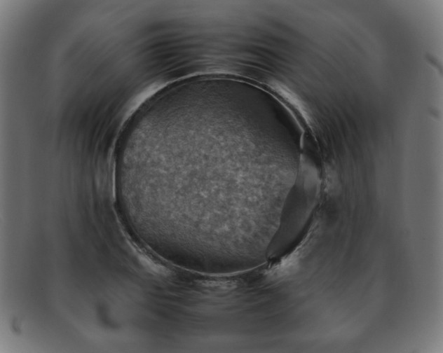 X0000092051127200709121207