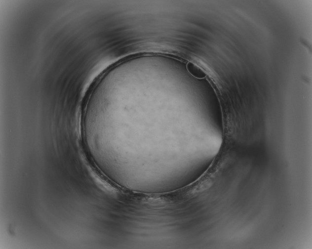 X0000092051128200709121207